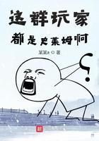 这群玩家都是史莱姆啊阿尔托莉雅