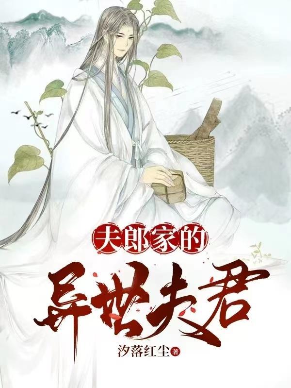 夫郎在异世免费阅读