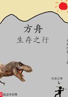 方舟生存安装