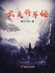 云英飞将海报