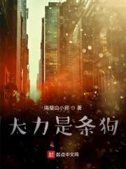 大力哥的大力