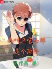 卫宫士郎穿越
