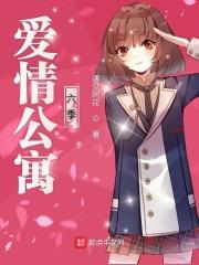 爱情公寓六季在线观看