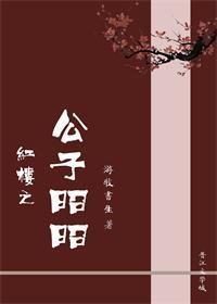 红楼之公子林砚无错