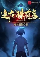 龙珠里有什么