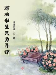 半生漂泊半生愁的意思