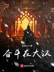 奋斗在大汉txt