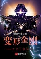 变形金刚之风起云动