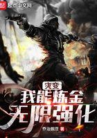 灾变我能炼金无限强化笔趣阁