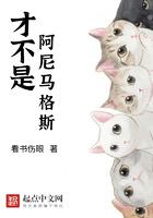 霍格沃茨的德鲁伊大师女主是谁