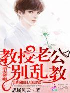 教授老公是总裁全文免费阅读
