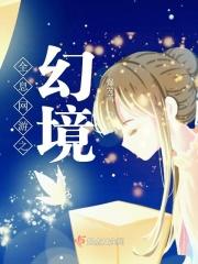全息网游设定