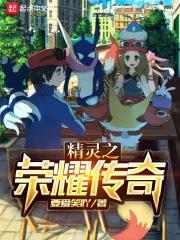 神奇宝贝之传奇系统