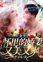 秦爷怀里的小