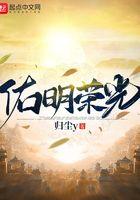 深圳佑明光电有限公司