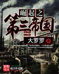 崛起之第三帝国地图