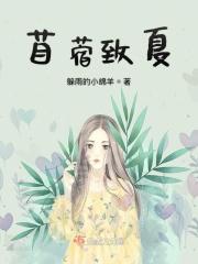 苜蓿之年是什么意思