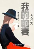 我的前妻是大明星起点