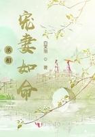 丞相宠妻日常说的什么