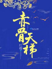 赤骨天梯免费阅读
