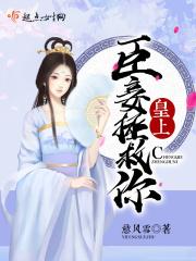 皇上臣妾要做主全集