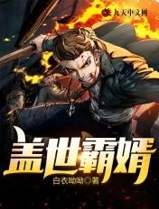 盖世战婿免费
