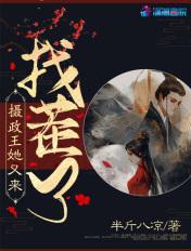 摄政王又来找查