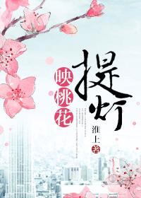 提灯映桃花是什么类型的