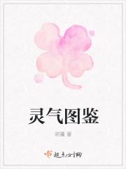 灵气的等级
