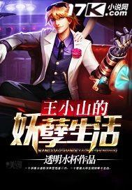 男主角王小山