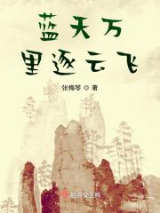 心向蓝天云飞原唱