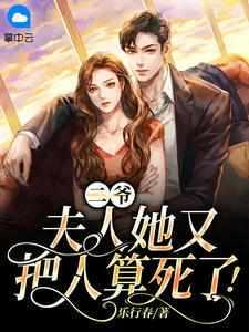 夫人又去摆摊算命了作者南鸢