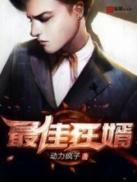 最佳狂婿叶昊