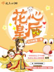 书名叫花心的阅读