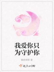 我爱你只为守护你是什么歌
