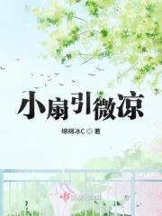 小扇引微凉悠悠夏日长意思