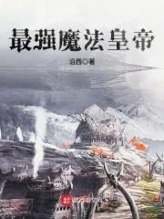 最强魔法师的隐遁计划免费阅读