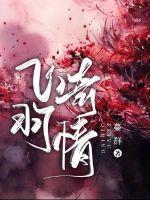 飞羽奇情