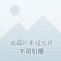 灾变大陆