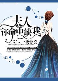 一夜惊喜：夫人，你命中缺我