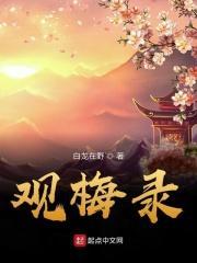观梅录