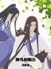 神鸟和陨石